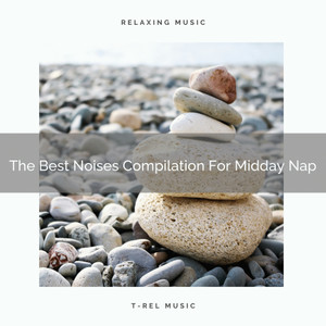 The Best Noises Compilation For Midday Nap