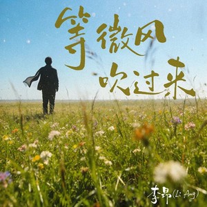 等微风吹过来封面