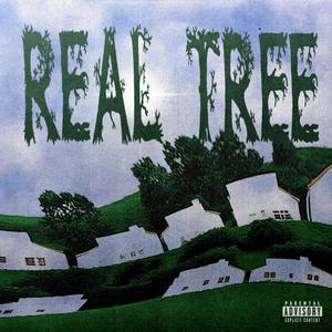 Real Tree (feat. 2FlyDrako) [Explicit]