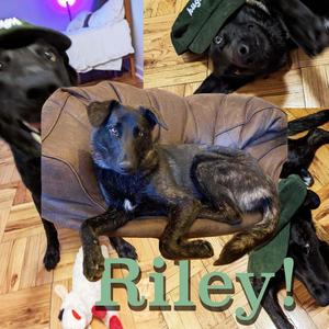 Riley! (feat. Kendall ! & Lakegrovestation) (Explicit)