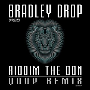 Riddim The Don