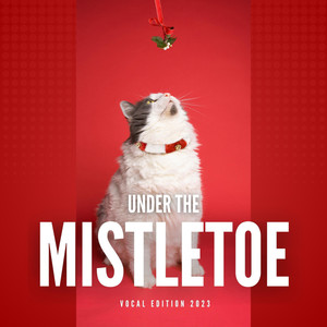 Under the Mistletoe