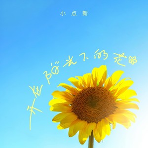 开在阳光下的花 (伴奏)