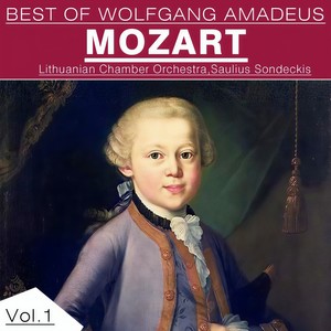 Flute Concerto No. 2 in D Major, K. 314 : I. Allegro aperto