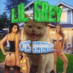 Cats revenge (Explicit)