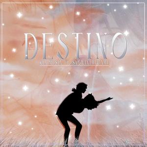 Destino (feat. SnowInTheGame)