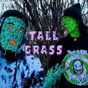 Tall Grass (feat. .strife) [Explicit]