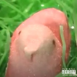 PEEP (Explicit)