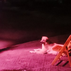 夜巷