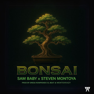 BONSAI (Explicit)