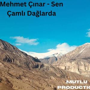 Mehmet Çınar - Sen Çamlı Dağlarda