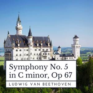 Symphony No. 5 in C Minor, Op. 67 - II. Andante con moto