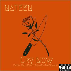 Cry Now (Explicit)