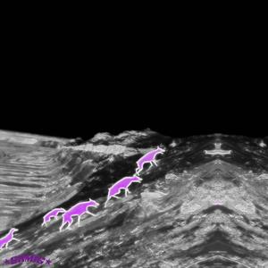 steam (faded) (feat. st_ezy) (Explicit)