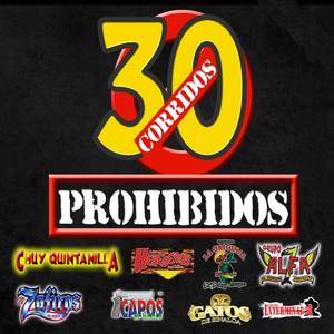 30 Corridos Prohibidos, Vol. 2