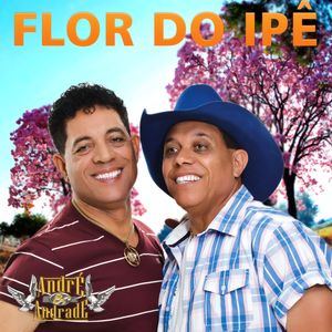Pronunciamento