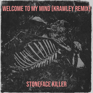 Welcome to My Mind (Krawley Remix|Explicit)
