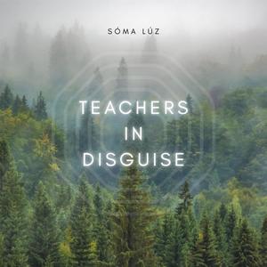 Teachers in Disguise