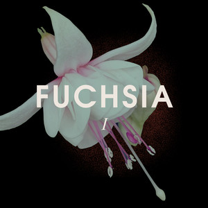 Fuchsia I (piano version)