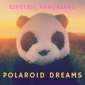 Polaroid Dreams