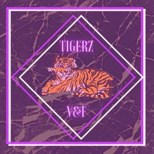 TIGERZ (feat. Don Faya)