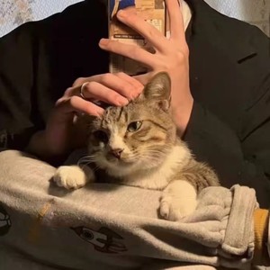 阿拉斯加海湾 (Demo)