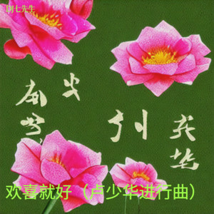 欢喜就好-DJ七先生