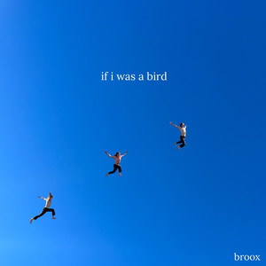 If I Was a Bird