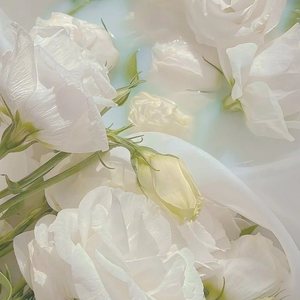 一鹿 - 爱久见人心