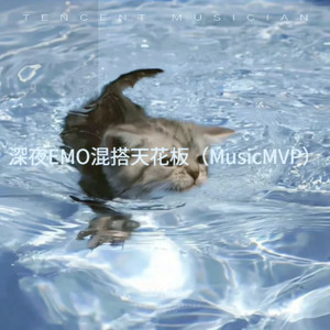 深夜EMO混搭天花板（MusicMVP）
