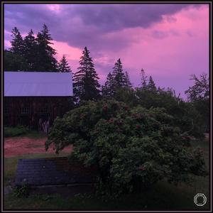 Sweet Refrain (Live)