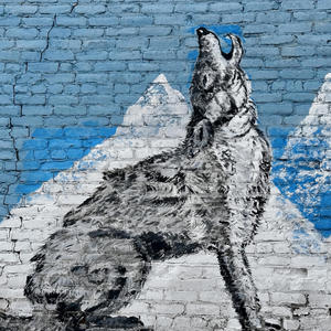 NOTHING GONNA STOP (feat. Adonis Black, Mike G The Writer & 2 Dolla Will) (Explicit)