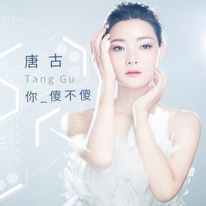 唐古《你傻不傻》[MP3_LRC]_MP3下载