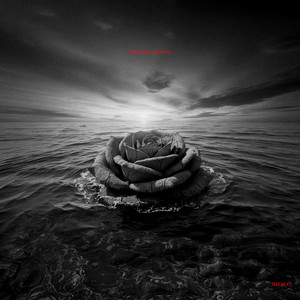 FIORI NEL CEMENTO (Explicit)