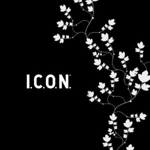 ICON (Explicit)