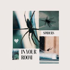 Spiders In Your Room