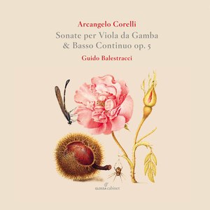 Sonate per Viola da Gamba & basso continuo op. 5 - Sonate per Viola da Gamba & basso continuo op. 5: Sonata no 9 - Giga
