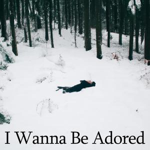 I Wanna Be Adored