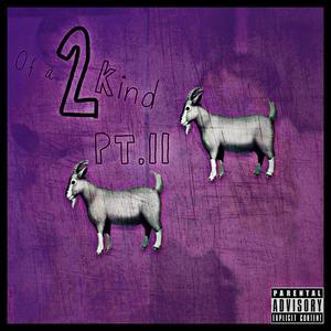 2 OF A KIND PT.II (Explicit)