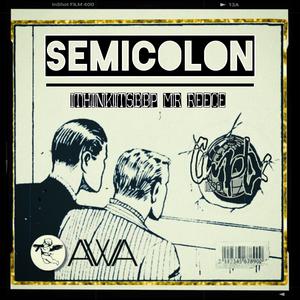 Semicolon (feat. Mr Reece & Ithinkitsbbp|Explicit)