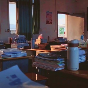 我们在夏枝繁茂时再见