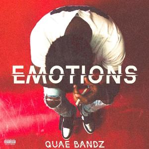 EMOTIONS (Explicit)