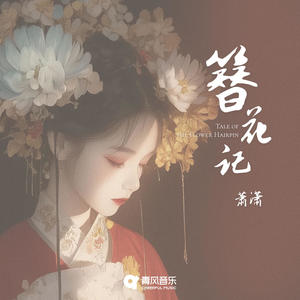 簪花记封面