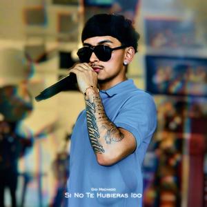 Si No Te Hubieras Ido