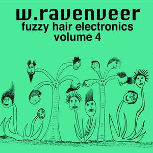 fuzzy hair electronics volume 4