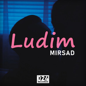Ludim