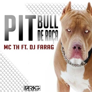 Pitbull de Raça (Explicit)