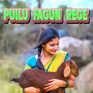 Puilu Fagun Rege