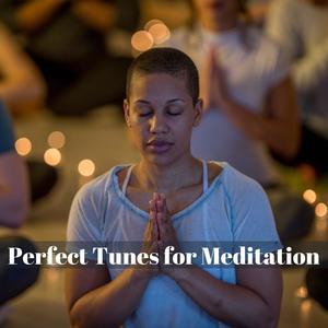 Perfect Tunes For Meditation