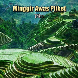 Minggir Awas Pliket
